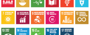 After COVID: use the sustainable development goals